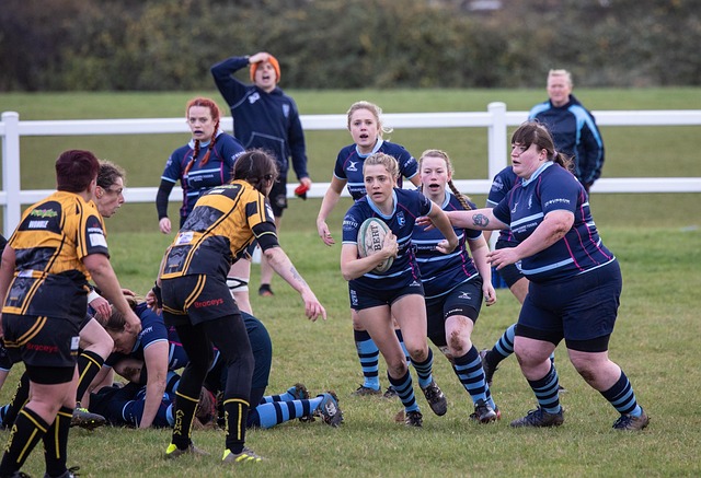 球来撕破广 球来撕破广