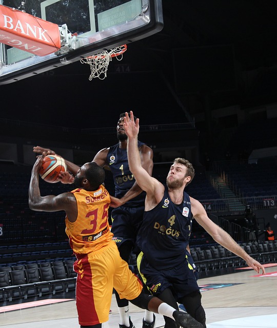 的历史长河 的历史长河